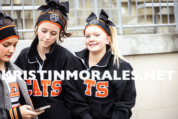 _C_172431