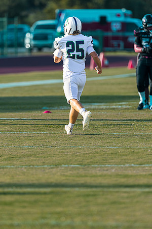 _MOR4452