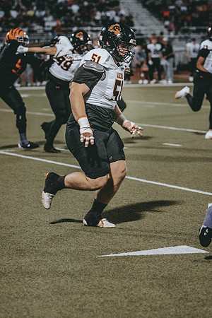_OR_3199
