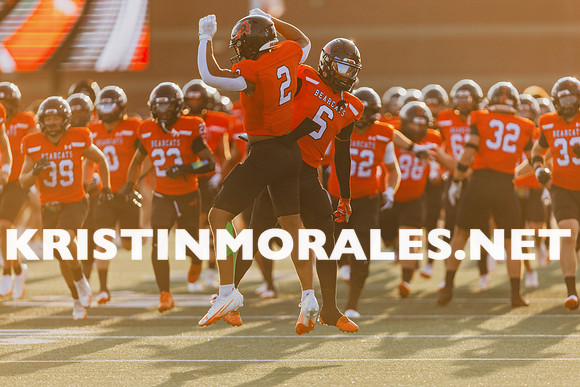 _MOR3299