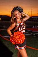 _C_10103 copy