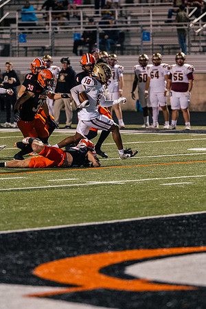_OR_0383a