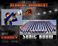 26_AledoBAND_Memorymate_Careny_H