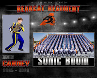 26_AledoBAND_Memorymate_Careny