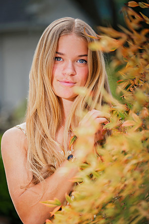 _L8A1504 copy