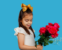 _OR_4328 copy