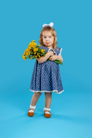 _OR_8673 copy