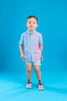 _OR_7733 copyc6