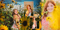 04-05 Sunflower p2