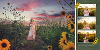 06-07 sunflower