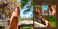 16-17 brown dress_p3