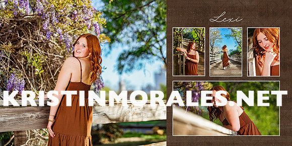 16-17 brown dress_p3