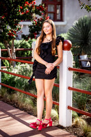 _C_13223 copy