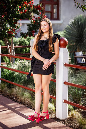 _C_13223 copy
