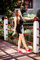 _C_13229 copy