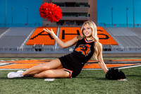 _C_13122 copy