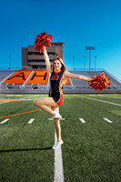 _C_12290 copy