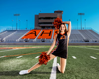 _C_12295 copy