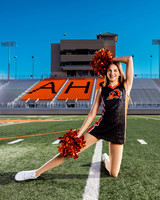 _C_12296 copy