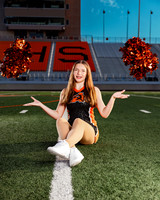 _C_11801 copy2
