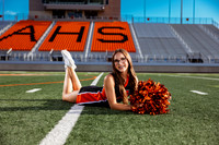 _C_12161 copy 2