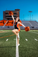 _C_12272 copy