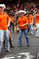 _L8A7396