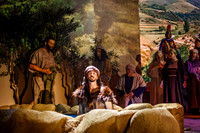 Spring Production Denoised