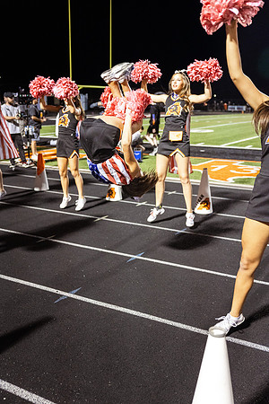_L8A0186