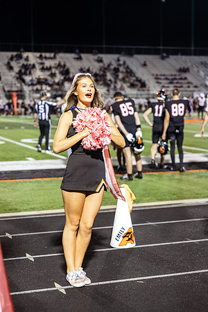 _L8A0874