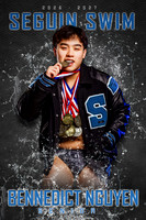 Nguyen b