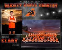 2026 ALEDO CrossCountry Memory clary