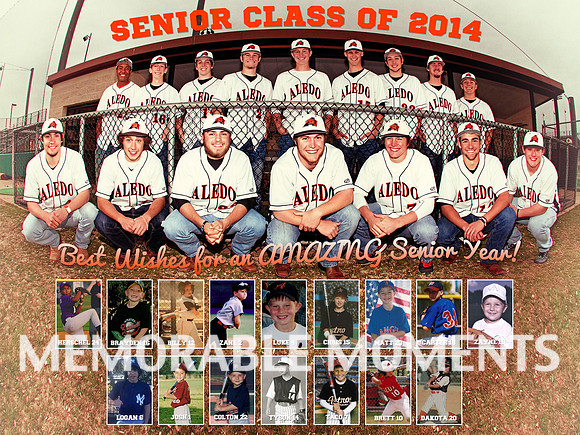 Senior Baseball Ad E