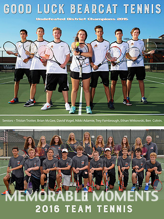 Tennis team 2016