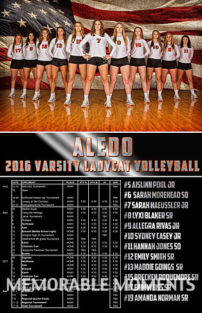 2016 meet the ladycats volleyball poster