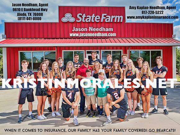 state farm 2018e