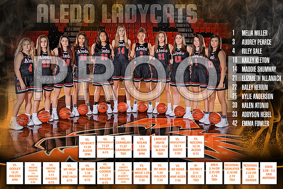 2018 Ladycat Basketball poster
