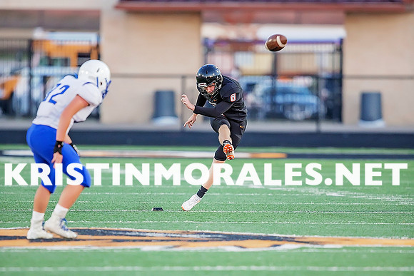 _AHS0060