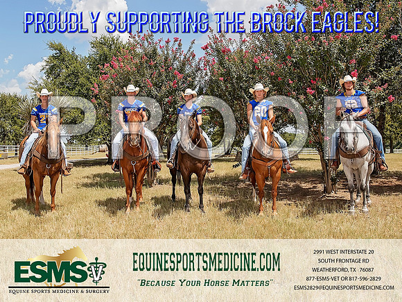 ESMS 19