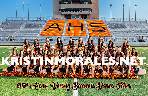 Meet The Bearcats Dance Team 2024 poster backside rev