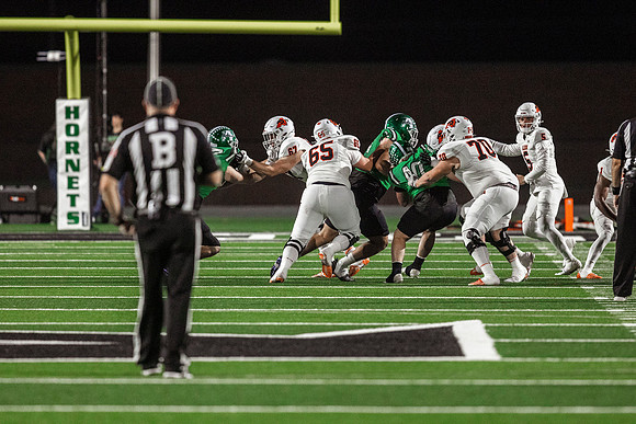 _L8A0586