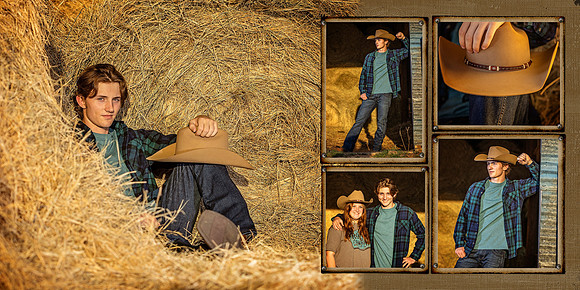 004 Hay