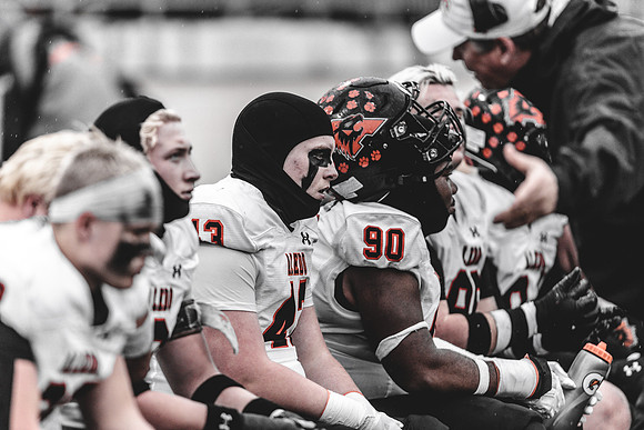 _51A50431